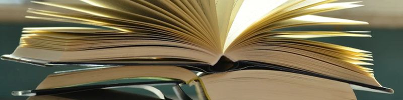 Archivo histórico 1965